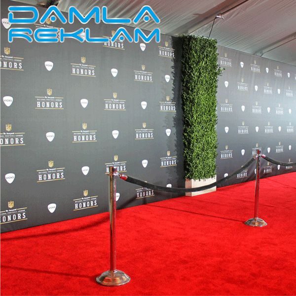 BACKDROP 2